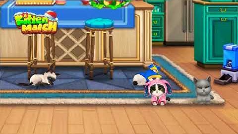 Kitten match: more new cat pics