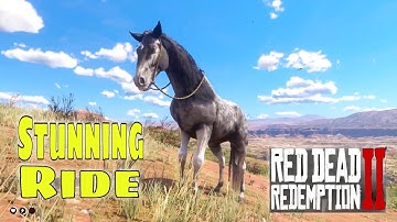 RDR2 Stunning Horse Mod | Beautiful Riding Showcase in Red Dead Redemption 2