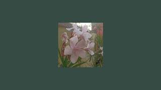 mother mother - oleander (slowed + reverb) Resimi
