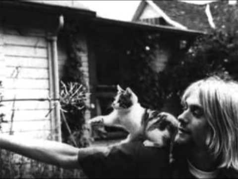 Video: Varför Kurt Cobain Dog