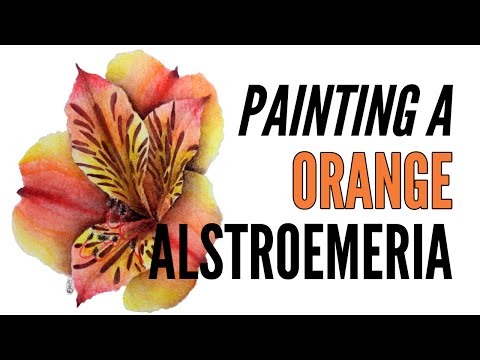 Como pintar um Alstroemeria Com Inktense Em Laranja