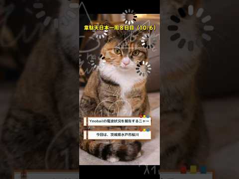 ymobile通信状況（茨城県水戸市桜川東横イン水戸駅南口）　#shorts　シニアの冒険！　韋駄天日本一周