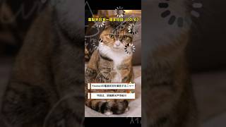 ymobile通信状況（茨城県水戸市桜川東横イン水戸駅南口）　#shorts　シニアの冒険！　韋駄天日本一周