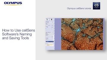 How to Use cellSens Software’s Naming and Saving Tools