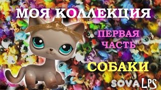 Моя коллекция/ часть 1/ Собаки/ SOVA LPS Моя коллекция/ часть 1/ Собаки/ SOVA LPS