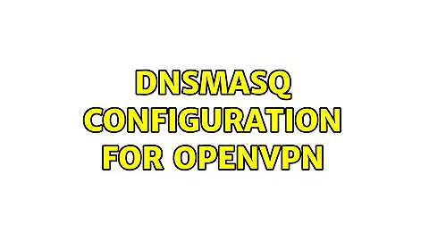 Dnsmasq Configuration for OpenVPN (2 Solutions!!)