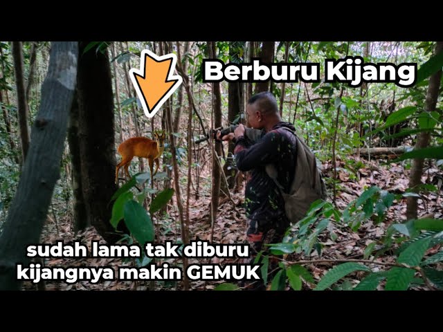 Katta kokrakli yosh eskortlar