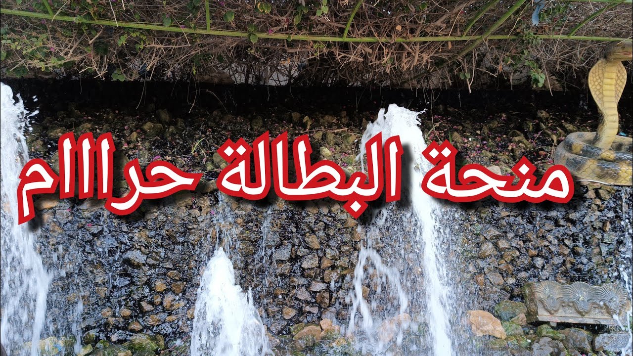 رحتي للمفتي وها واش قالي😱😱😱منحة البطالة حرااااام🫣😱😭💔