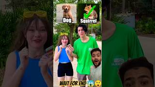 DISNEY WORLD vs PET SQUIRREL (left or right) #shorts impossible challenge?#trending #viral #pets