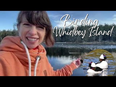 Let's Go Birding On Whidbey Island with Anita Johnston