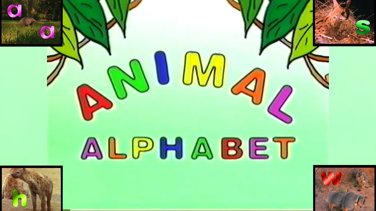 Animal Alphabet -- 1998 - YouTube