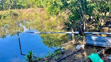 Làm hệ thống tưới đơn giản dùng Bơm Chìm kết hợp béc tưới VP3 Plus