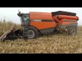 Tribine Corn Harvest 2013