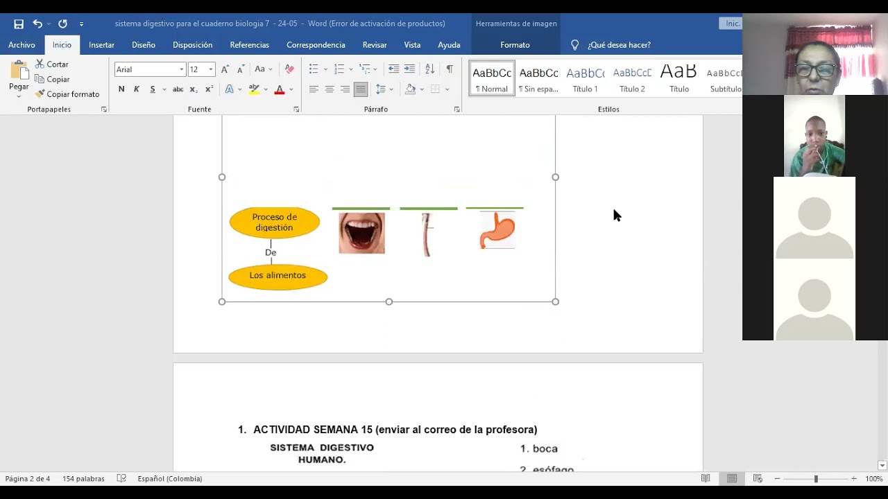 24/05/2021 SEMANA 15 BIOLOGÍA SEXTO(6)- SISTEMA DIGESTIVO- PARTE 2