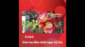 Đưa tay đón cánh ngọc kỳ lân