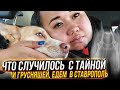 ЧТО СЛУЧИЛОСЬ С ТАЙНОЙ? И ГРУСНЯШЕЙ? ЕДЕМ В СТАВРОПОЛЬ