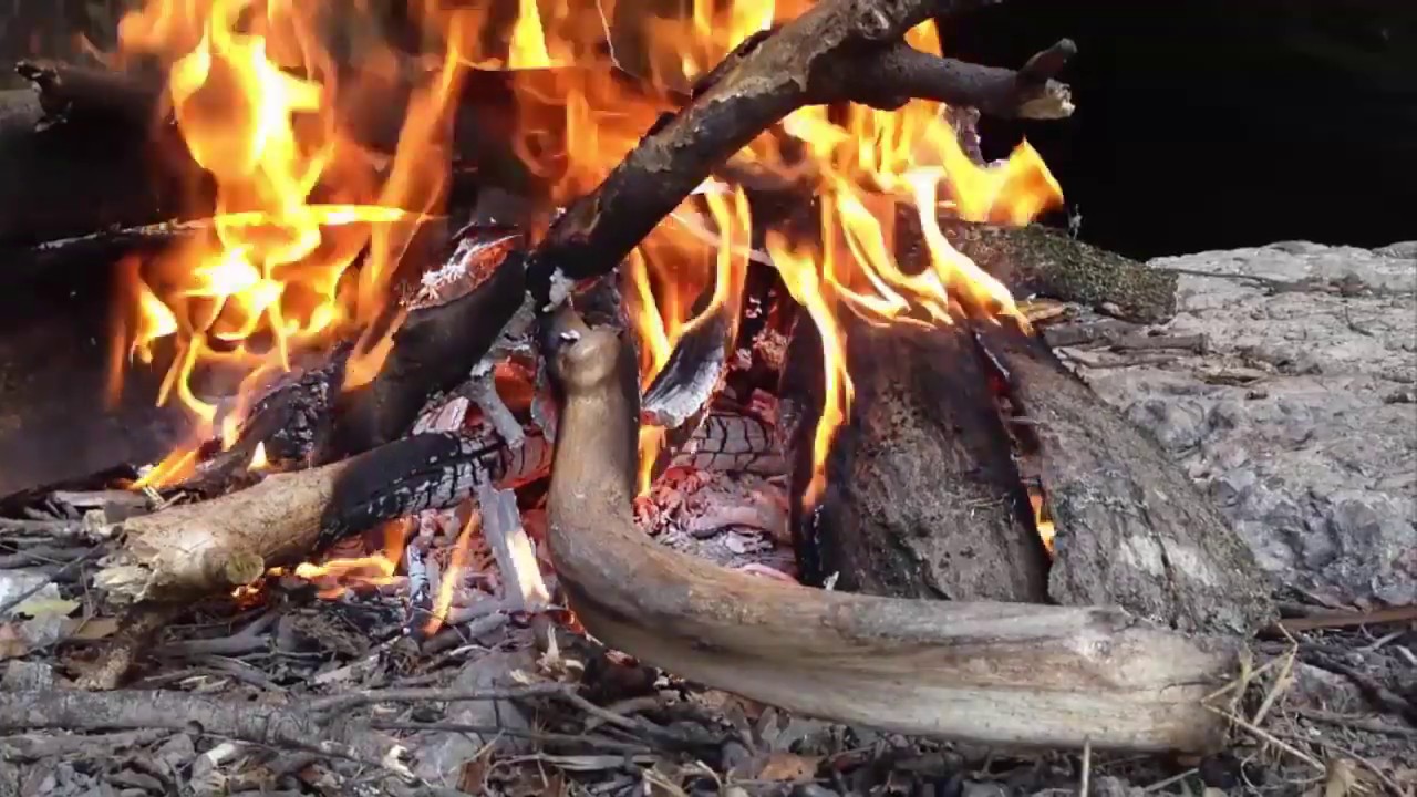 ⛺Kamp Ateşi,Teneke Üzerinde Kuzu Kokoreç Pişirme. Bushcraft ⛺ Camp Fire