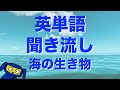 英単語 聞き流し 海の生き物・魚 英語 リスニング