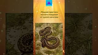 🔥Мощная практика очищения от чужого негатива🧿| Свет, защита и возвращение силы✨ #счастье #мышление