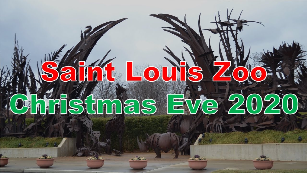 Saint Louis Zoo Christmas Eve 2020 YouTube