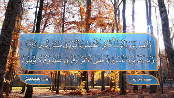 ‫سورة مريم بصوت القارئ يعقوب محمدي تلاوة خاشعة جدا ومؤثره وجميلة‬   YouTube