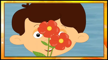 Class 1 | Environment Studies | Chapter 6: Water | Part 1