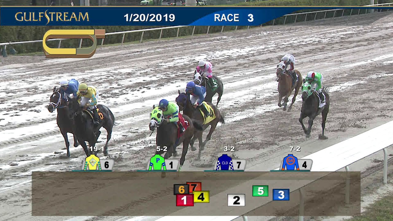 Gulfstream Park Carrera 3 - 20 de Enero 2019