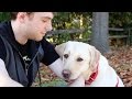 WHEN YOU COME HOME - a song written by your dog