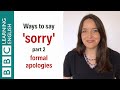 Ways To Say Sorry Part 2 Formal Apologies English In A Minute mp3
