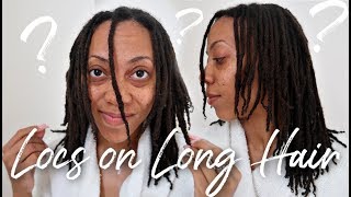 What NO ONE Told Me About Starting Locs on LONG Natural Hair