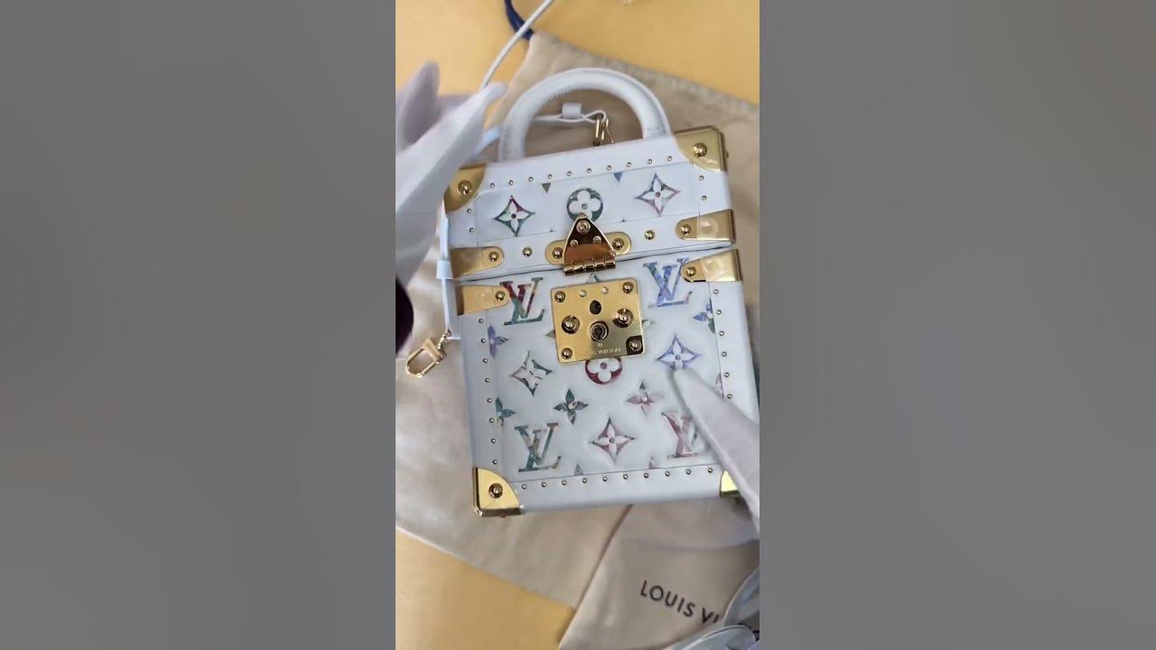Louis Vuitton Fall 2023 Runway Bags Reverse Monogram Camera Box, Petite  Malle, Alma, Dauphine 