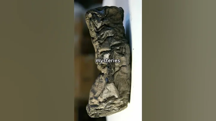 AI Deciphers Ancient Roman Scroll Charred By Volcano