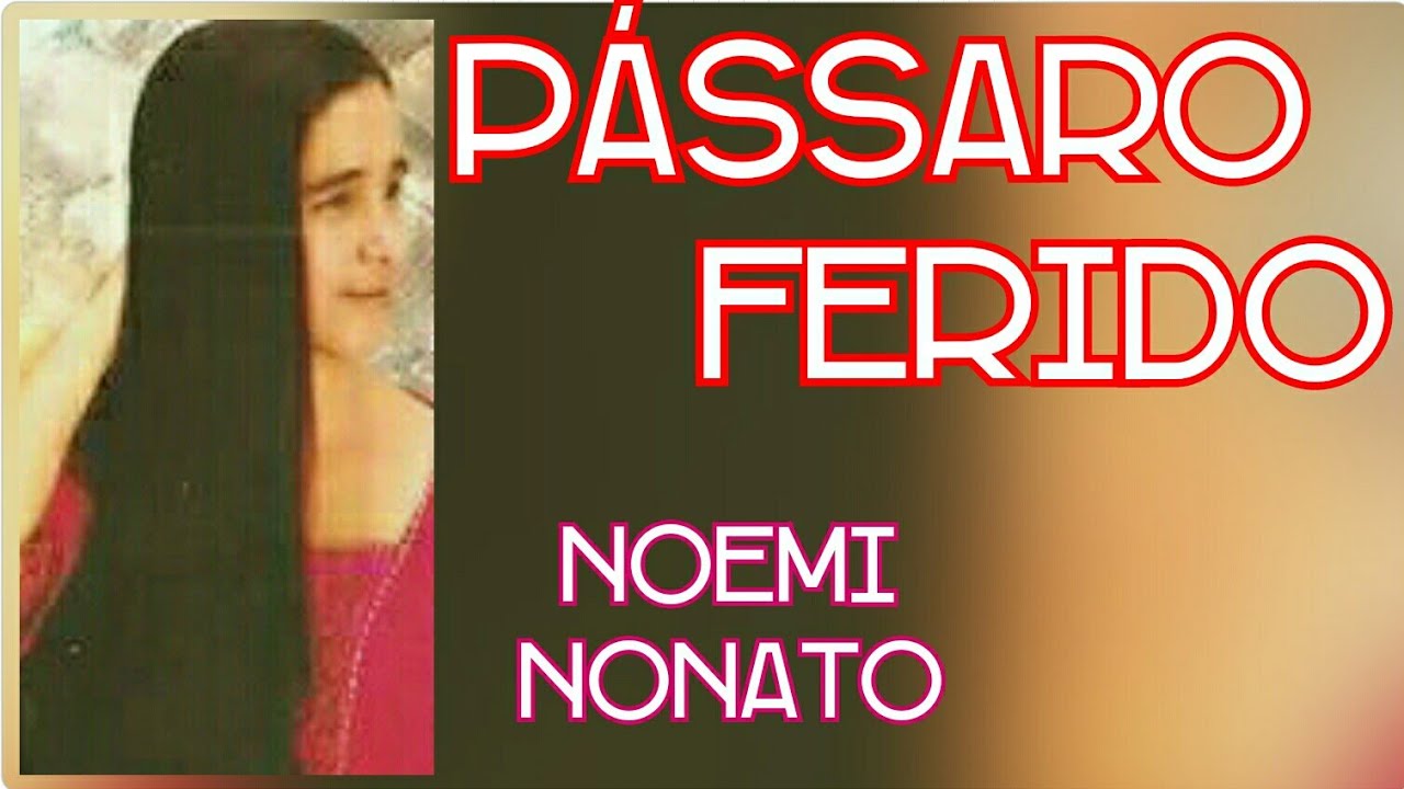 Resultado de imagem para PASSARO FERIDO - NOEMI NONATO