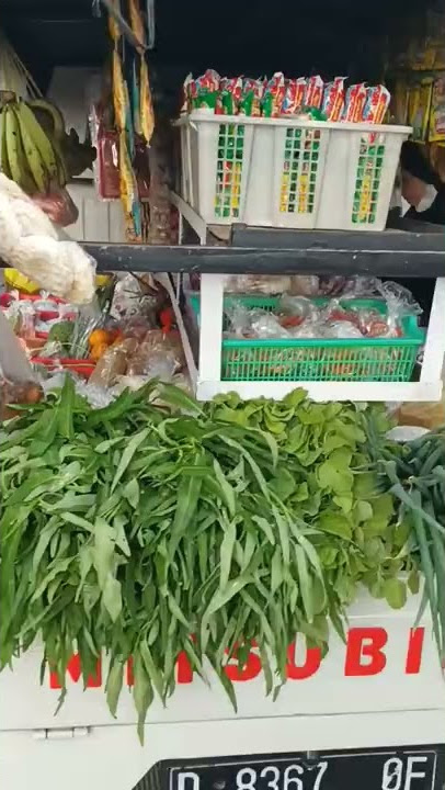 USAHA KREATIF!! JUAL SAYUR pake MOBIL Pickup Mitsubishi T 120 SS MUAT BANYAK.. HASIL MELIMPAH!!