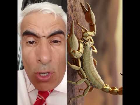 کشتن عقرب تعبیر خواب