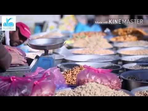 برنامج ارشادي للموهوبين