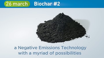 Biochar in the 2020s - 2021