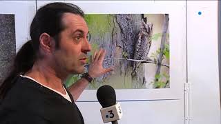 Les Chouettes Et Hiboux De Stéphanie Et David Allemand À Ménigoute