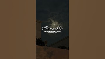 سورة العنكبوت#عبدالرحمن_مسعد #quran #allah #قران_كريم