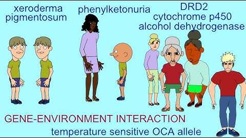 INHERITANCE: GENE ENVIRONMENT INTERACTIONS