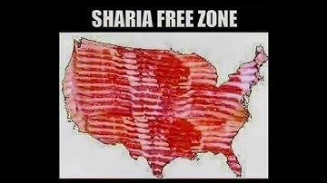 Daily MEMES YouTube Hates | YouTube is Fighting ME all the Way | Making ME Remove Memes | Part 367