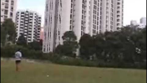 Trex SE inverted hover