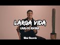 Carlos Rivera Larga Vida Letra Mau Records 2025 mp3