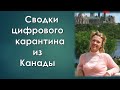 Перезагрузка мира после коронобесия/ главные политические риски КВ/предвыборная лихорадка Америки.