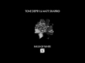 tone depth matt shapiro halls of white noir vocal mix noir music