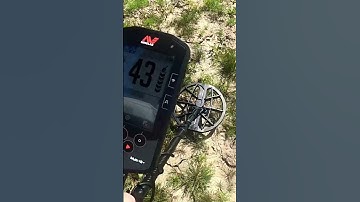 Metal Detecting UK with the Minelab Manticore #shorts #metaldetecting #manticore