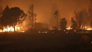 The camp fire recently swept across northern california, creating
deadliest and most destructive wildfire in california history. burned
thousand...