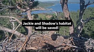 News from FOBBV_Moon Camp Goal has been met! Jackie, Shadow's Habitat Saved | 7.24.26