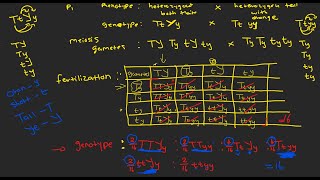 Dihybrid Crosses | Full Class| Life Sciences Grade 12 2024 Online Class| Genetics and Inheritance...