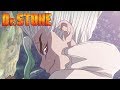 Shiny Ape | Dr. STONE
